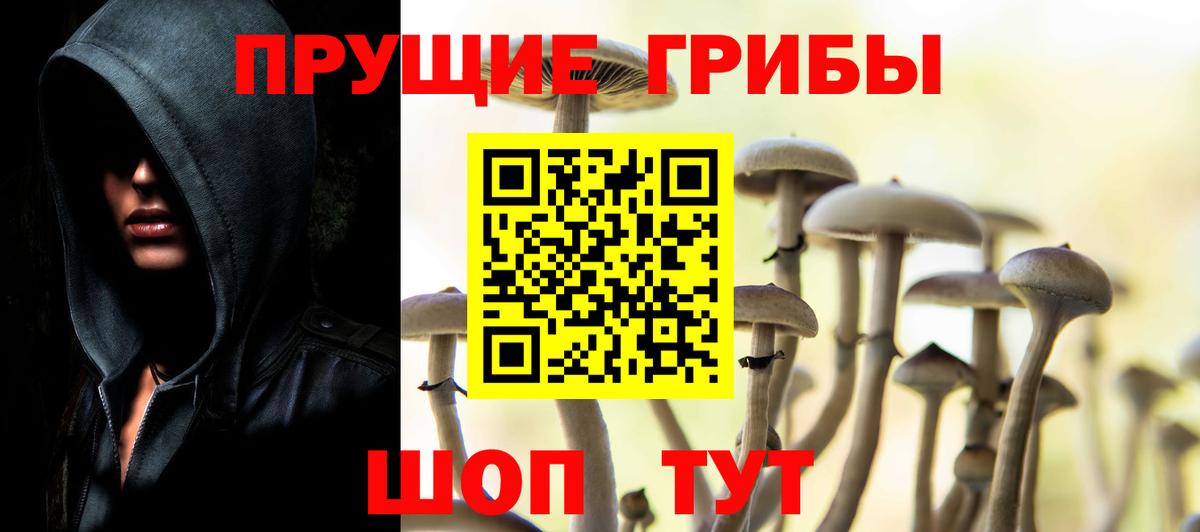 Галлюциногенные грибы мухоморы  Вход с VPN  Севастополь 